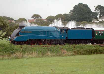 Purchase photo of 4492 DOMINION OF NEW ZEALAND (BITTERN) at Swanage Railway